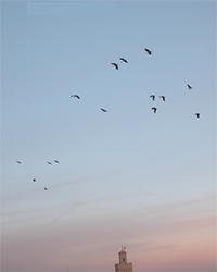 Marrakech