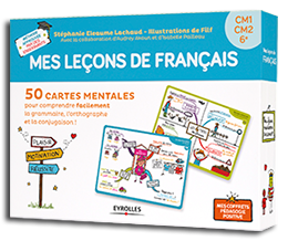 Mes leçons de français