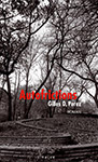 Autofrictions - Gilles D. Perez - Editions Naïve Livres